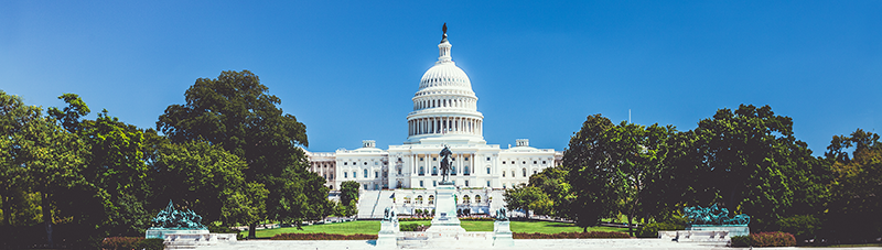 Capital Building in Washington