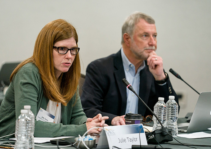 Julie Taylor and David Amaral at IACC Workshop