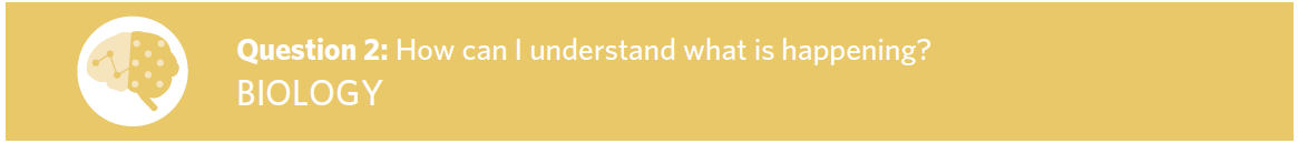 Strategic Plan Question 2 and Associated research area