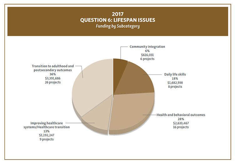 Bar Chart showing 2017 funding and project count by Question 6 Subcategories