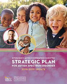 IACC Strategic Plan Cover for 2019
