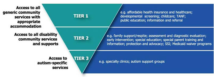 Model which assures that individuals with ASD have access to the broad range of community services, including those available to all individuals, to individuals with disabilities and chronic conditions, and to services that are uniquely required to address ASD