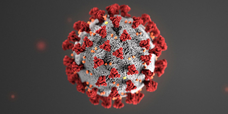 3D illustration of the novel coronavirus