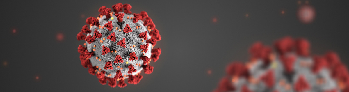 3D illustration of the novel coronavirus