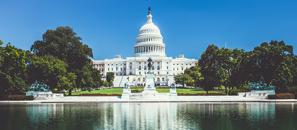 Capital Building in DC. Go to that Page