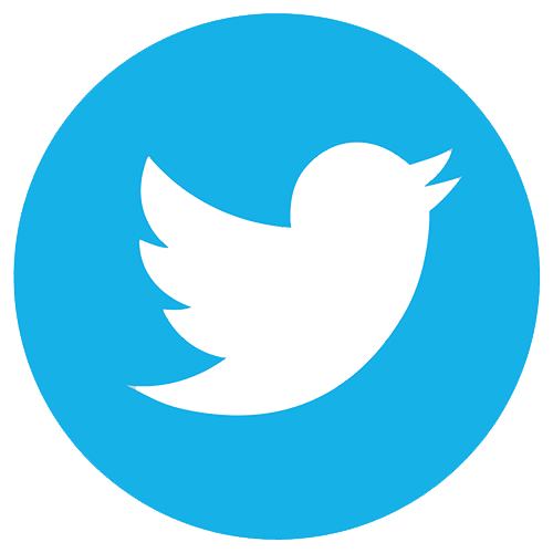 Twitter Icon